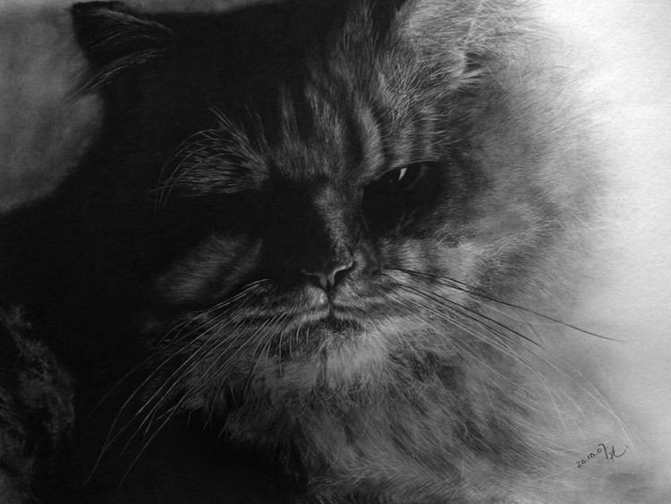 pencil drawing