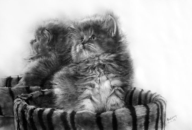 pencil drawing
