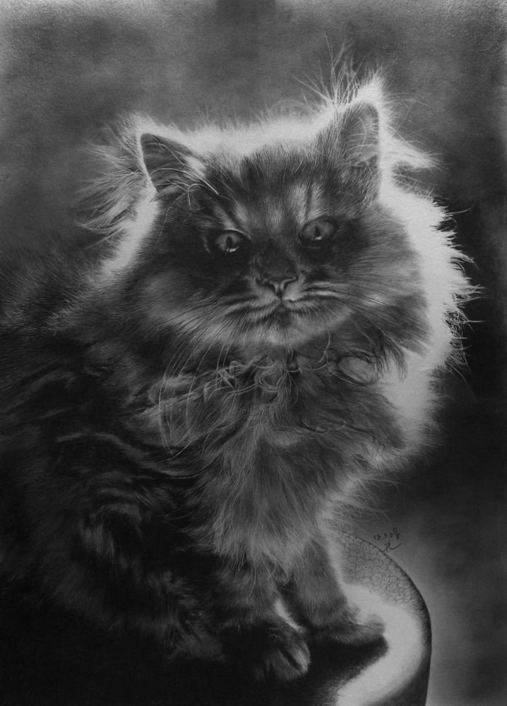 pencil drawing