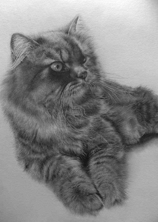 pencil drawing