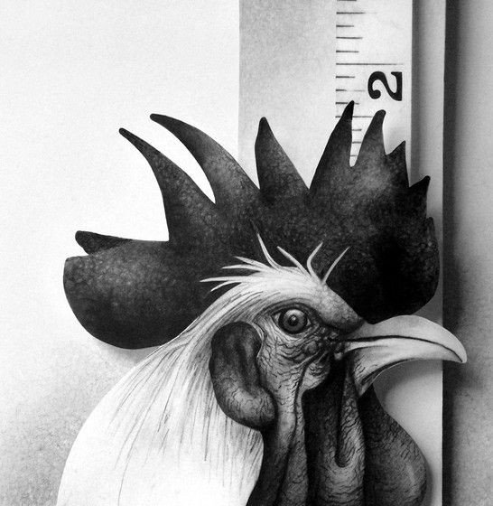 pencil drawing