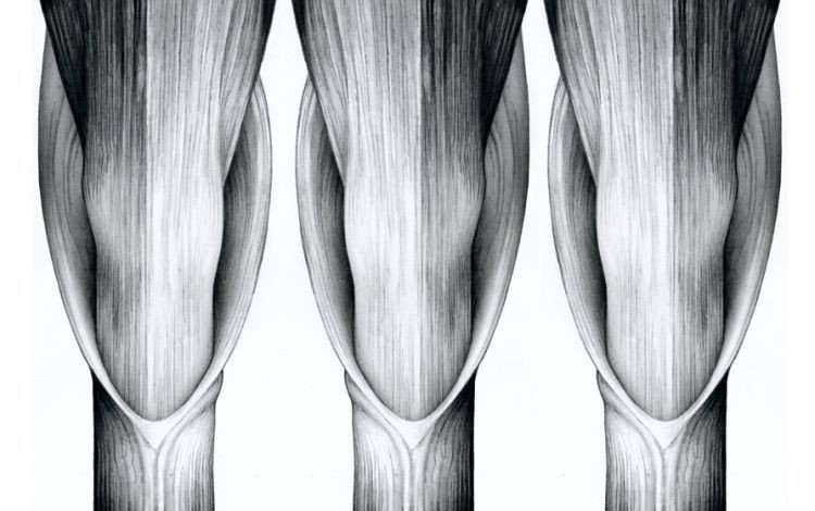pencil drawing