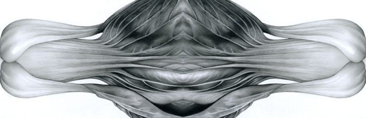 pencil drawing