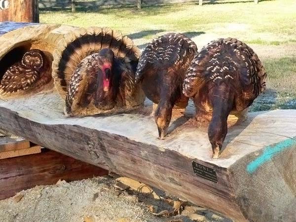 Wood sculptures made by chainsaw