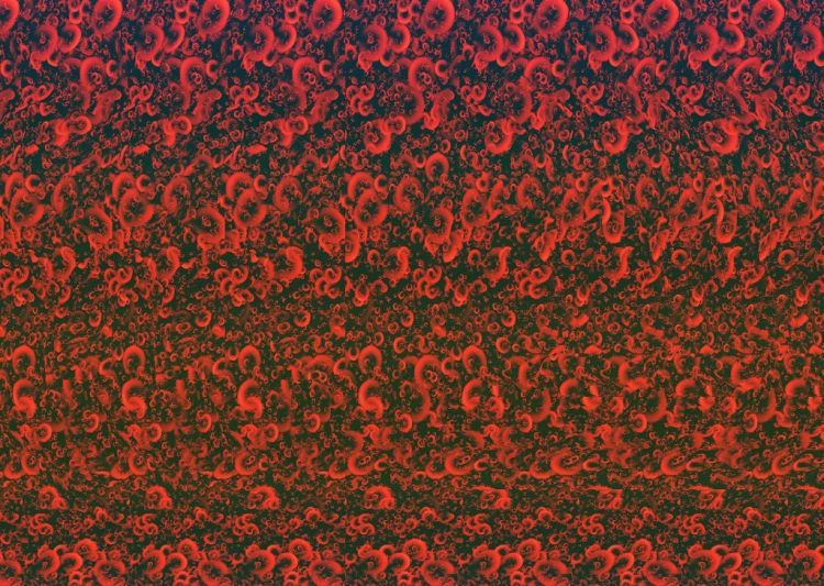 Stereo images