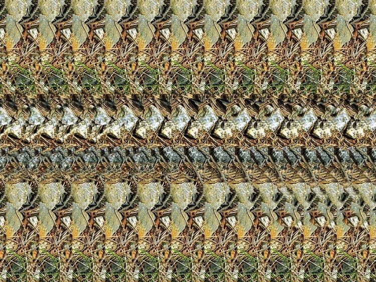 Stereo images