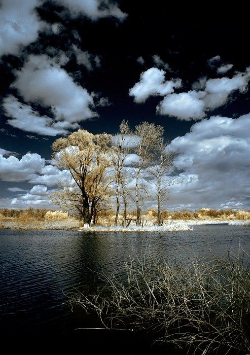 Work of Mark Ponomarenko