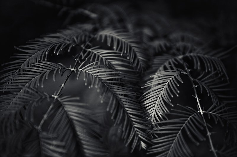 Work of Mark Ponomarenko
