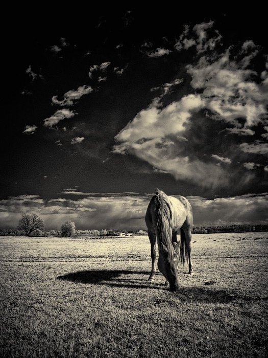 Work of Mark Ponomarenko