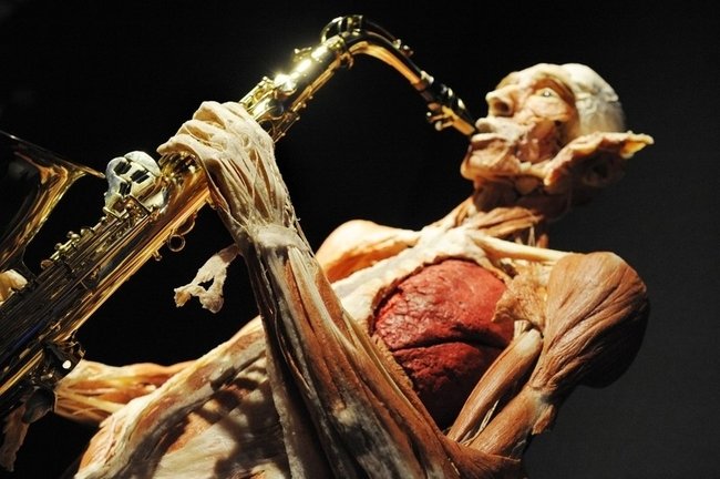 Body Worlds exhibition, Gunther von Hagens