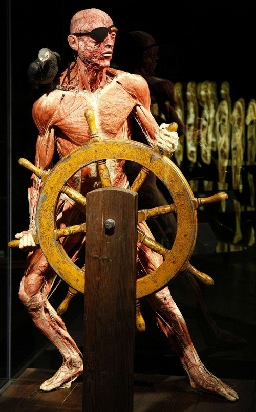 Body Worlds exhibition, Gunther von Hagens