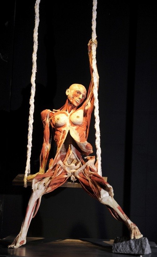 Body Worlds exhibition, Gunther von Hagens