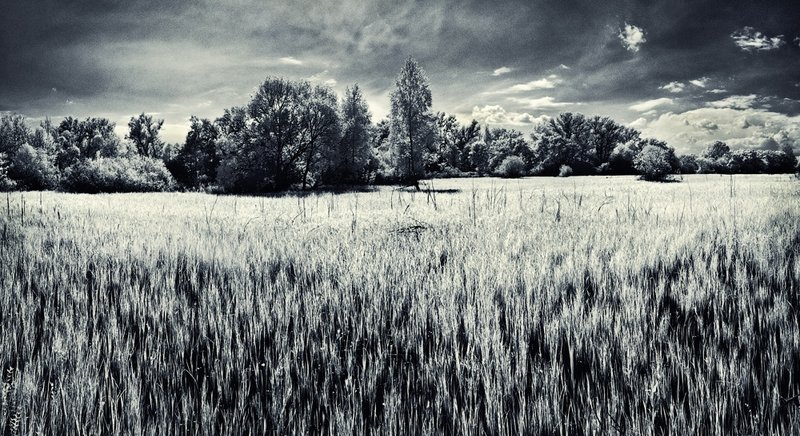 Work of Mark Ponomarenko
