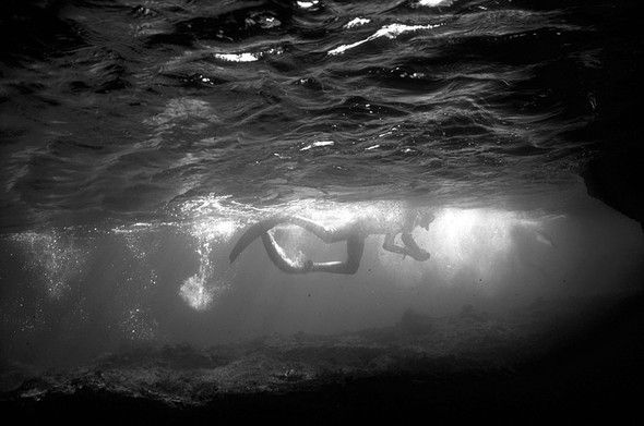 Underwater photography by Carlos Franco