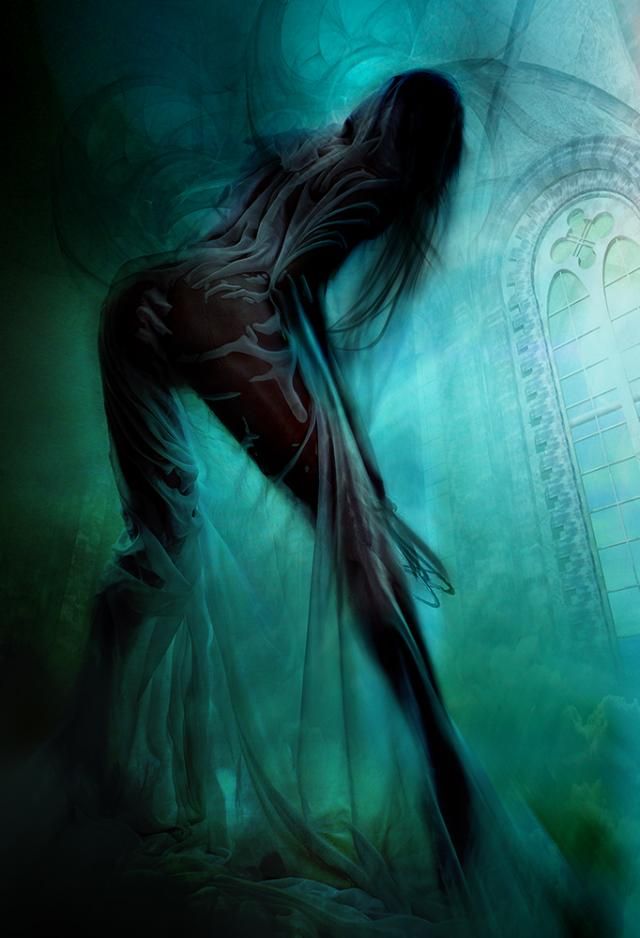 aesthetics of the female body