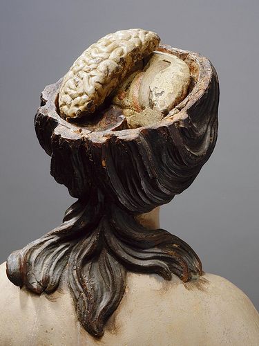 Anatomical sculptures