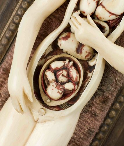 Anatomical sculptures