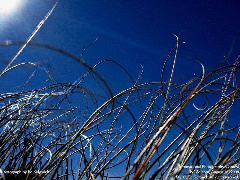International photo competition