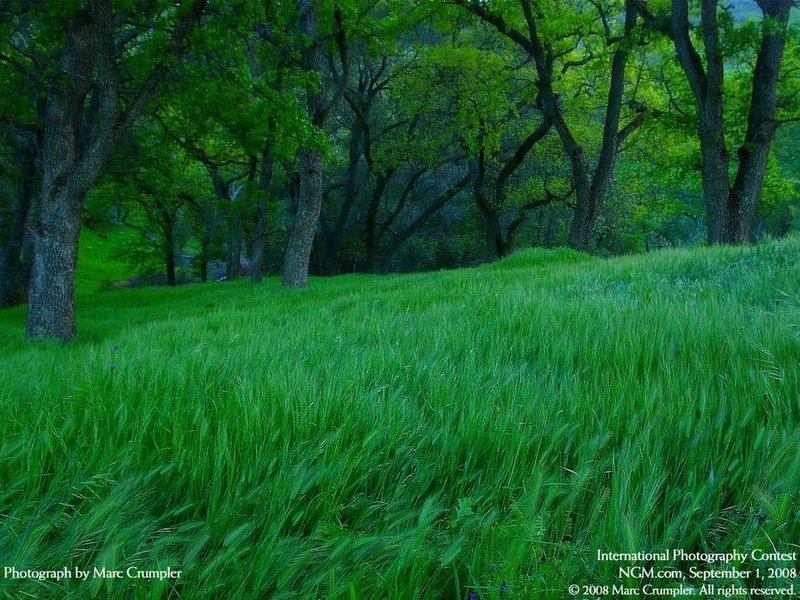 International photo competition
