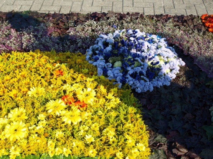 Flower carpets