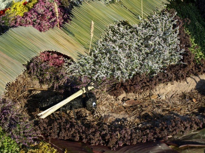 Flower carpets
