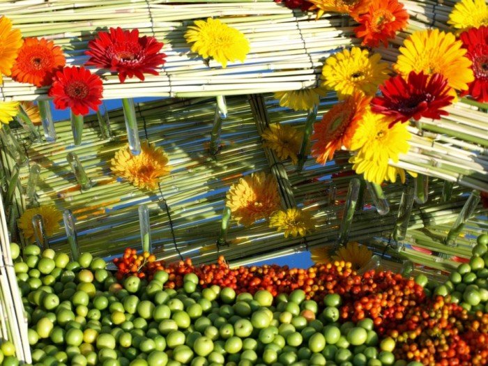 Flower carpets