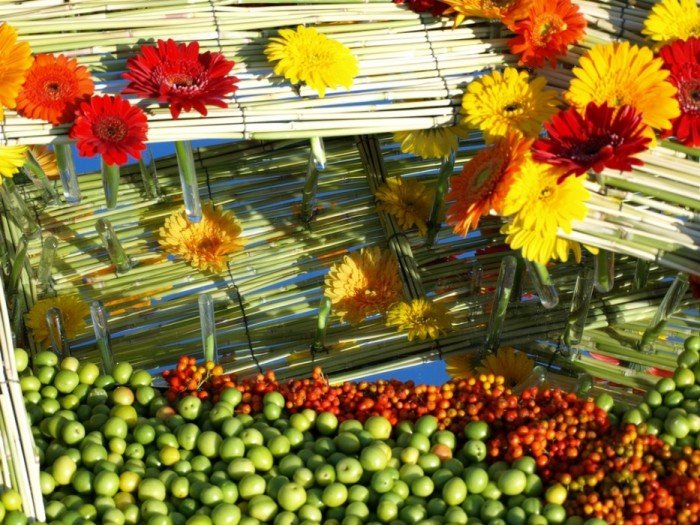 Flower carpets