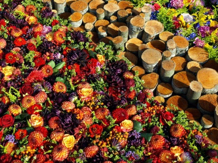 Flower carpets