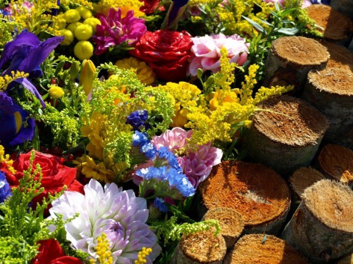 Flower carpets