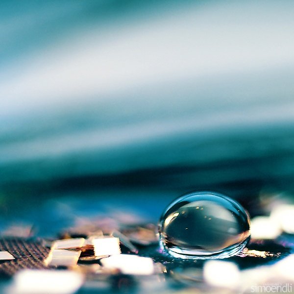 macro photography