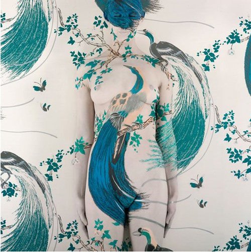 Camouflage by Emma Hack