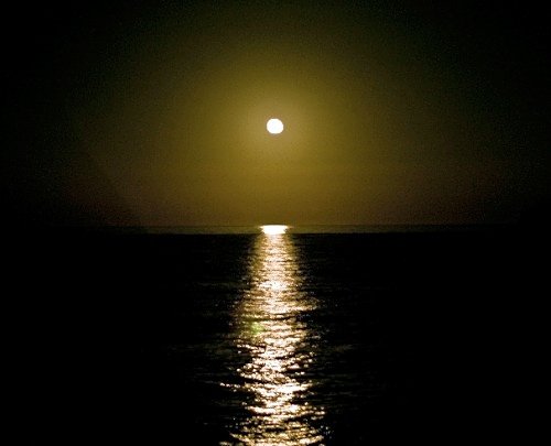 Photos by Dmitry Medvedev, president of Russia