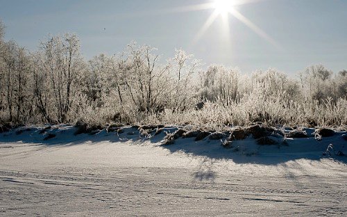 Photos by Dmitry Medvedev, president of Russia