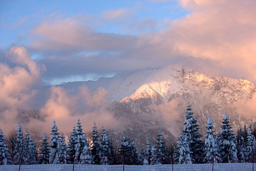 Photos by Dmitry Medvedev, president of Russia