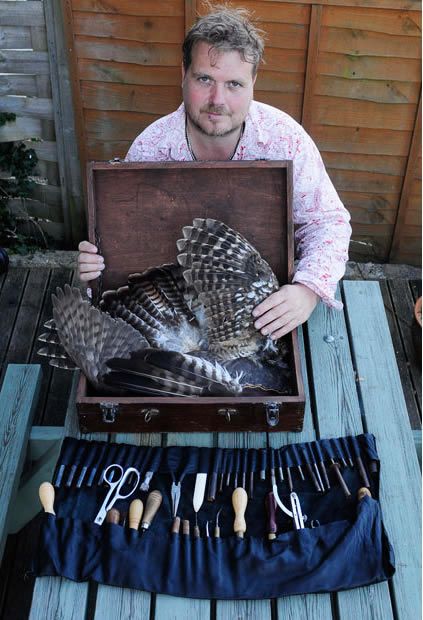 Animals skin art