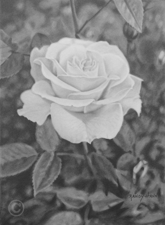 pencil drawing