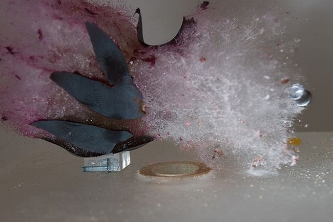High-speed photography art with Nikon D40