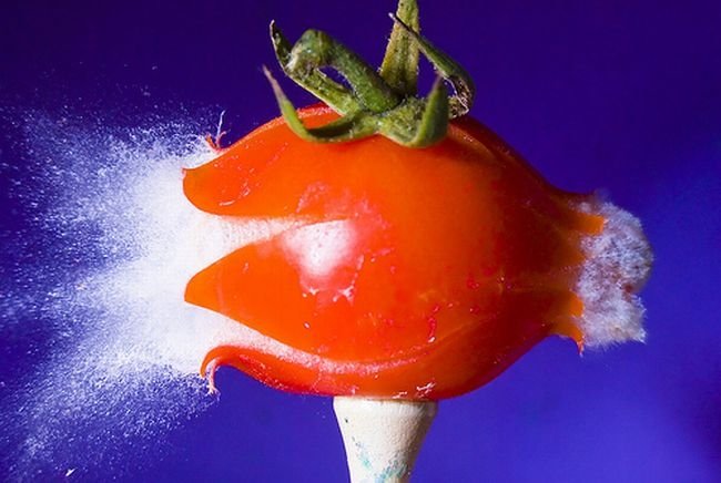 High-speed photography art with Nikon D40