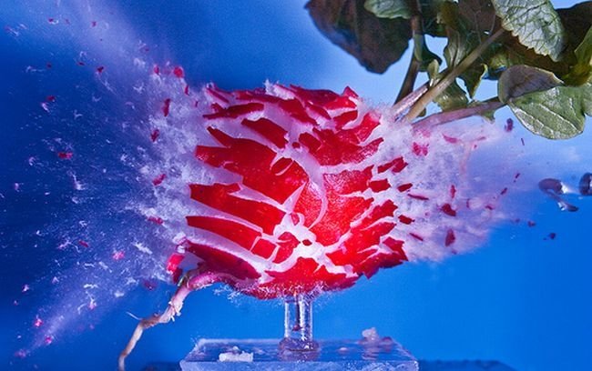 High-speed photography art with Nikon D40
