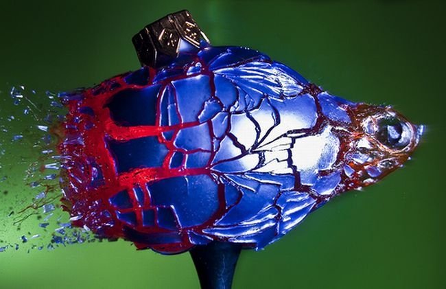 High-speed photography art with Nikon D40