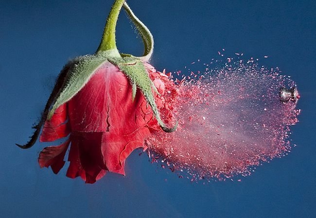 High-speed photography art with Nikon D40