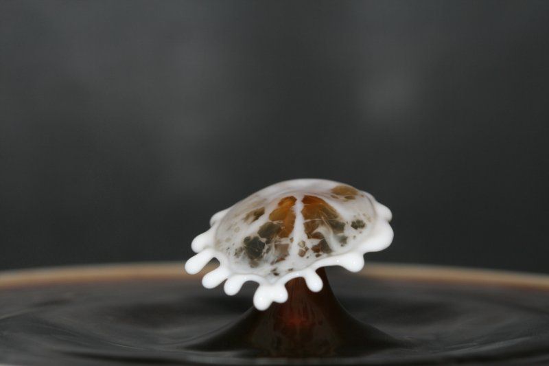 water drops high-speed photography