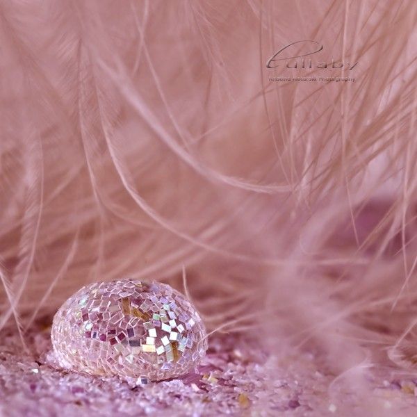 Fine art photography by Kristina Kotarski