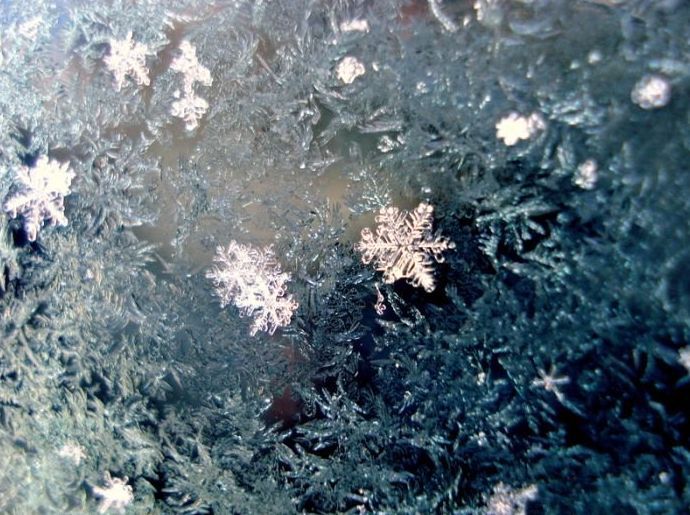 snow flakes