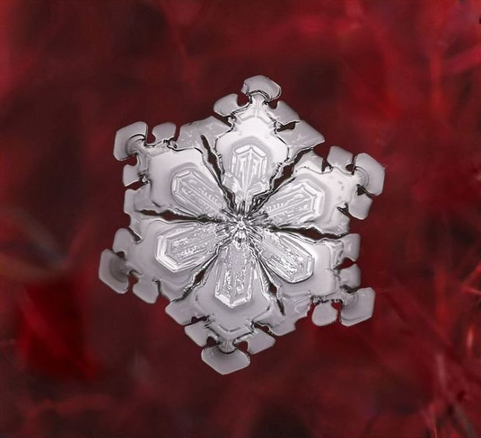 snow flakes