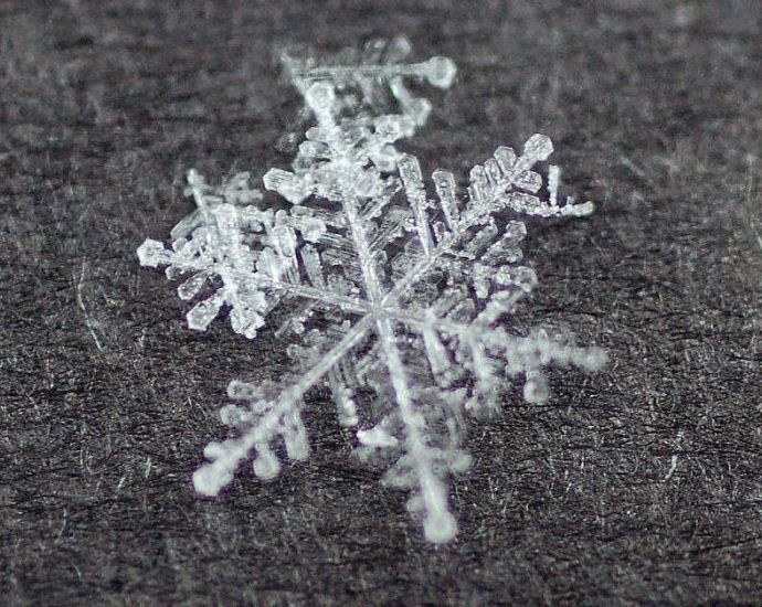 snow flakes