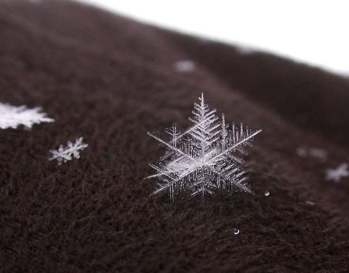 snow flakes