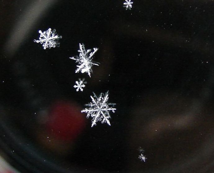 snow flakes