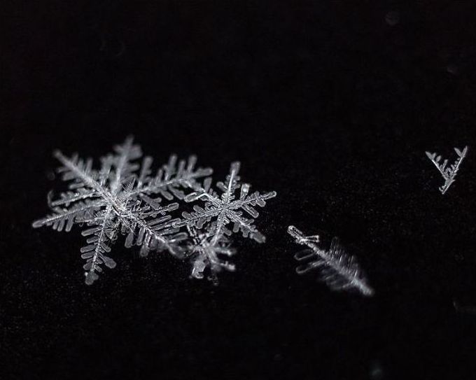 snow flakes