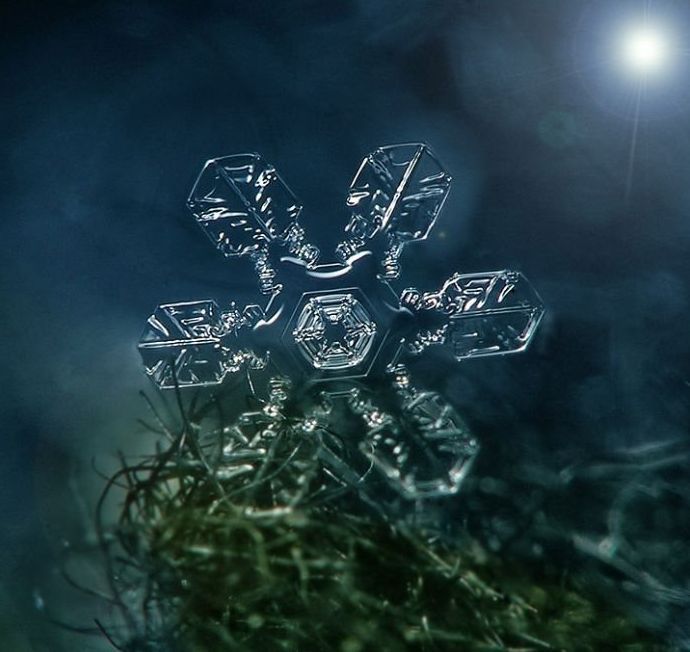 snow flakes